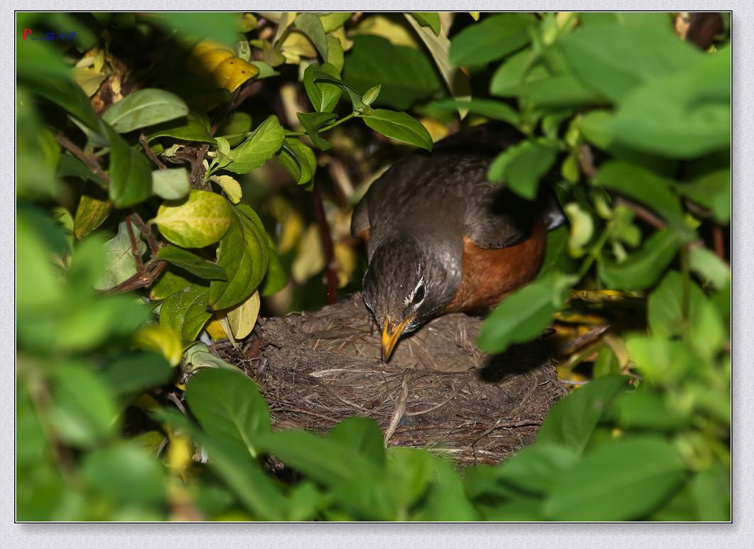 �}�u -76-107-1.jpg