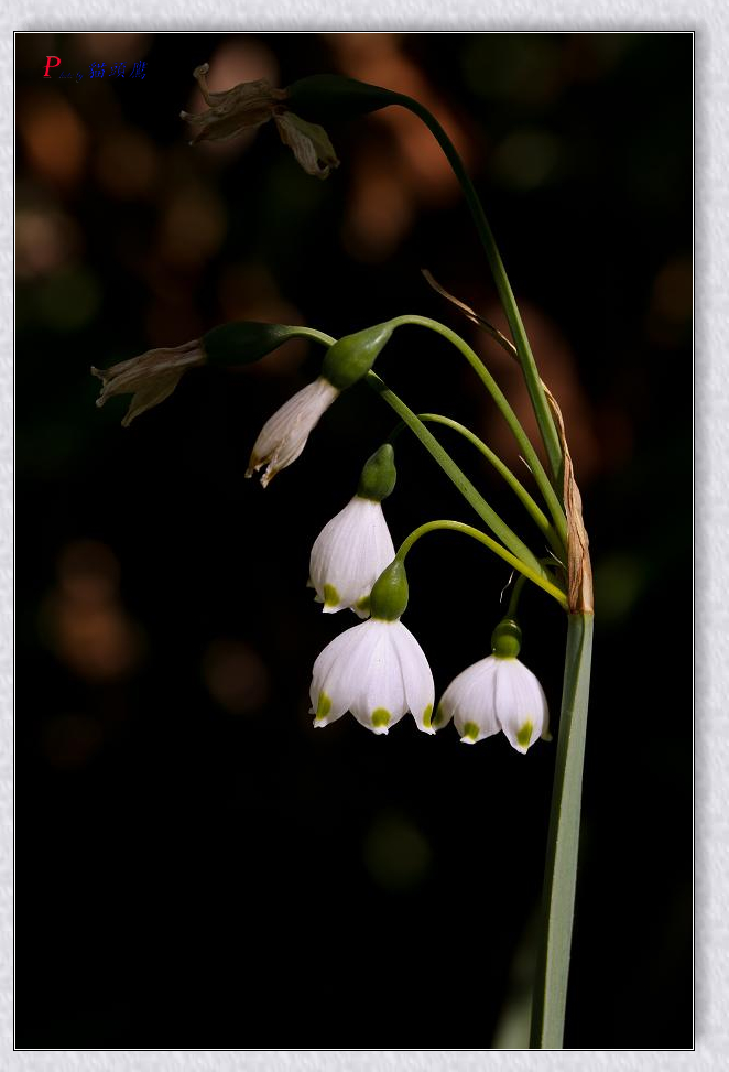 �}�u -50-148.jpg