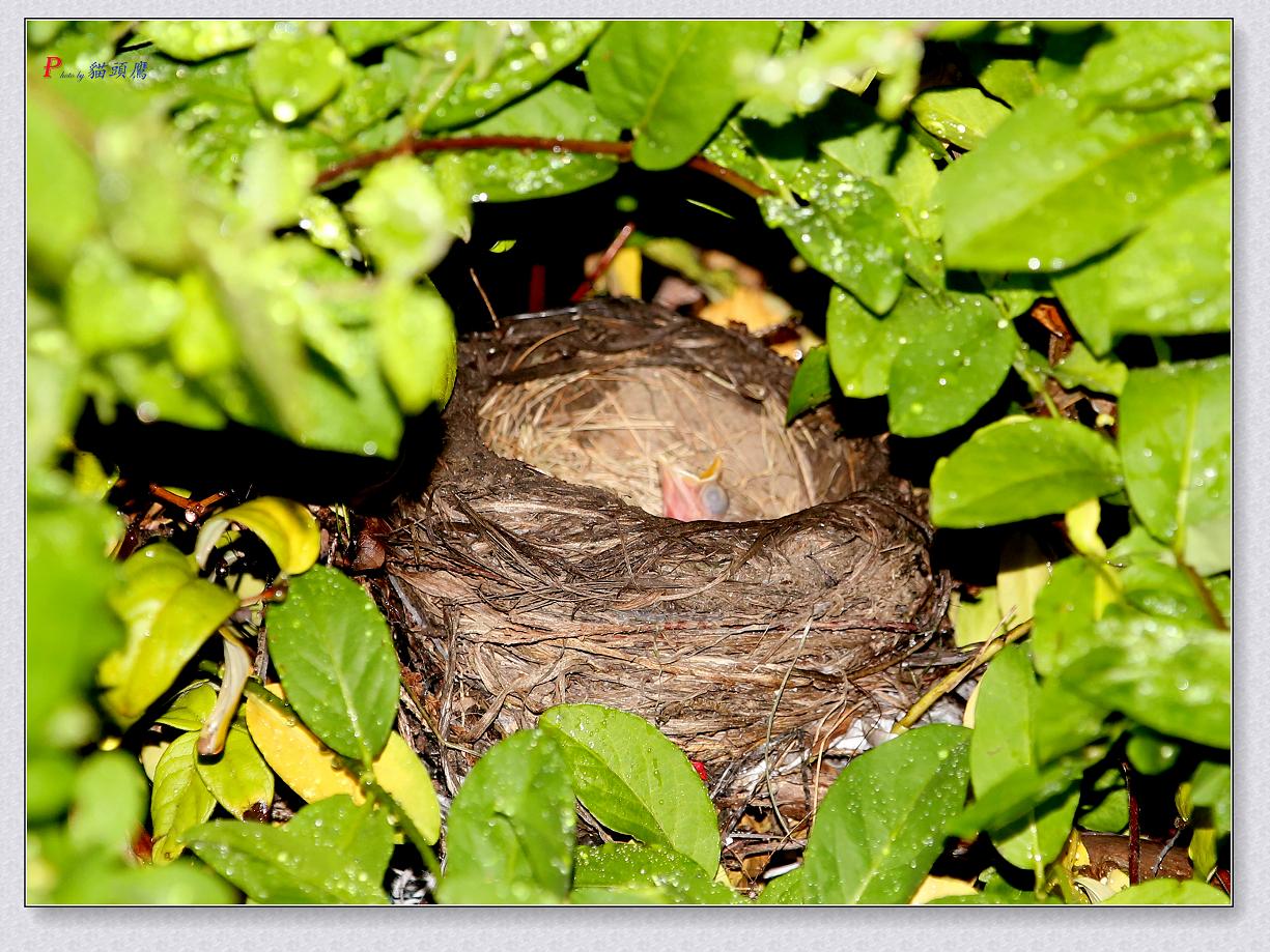 5-17-13�B 190-2.jpg