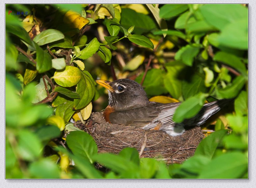 �}�u -75-103-1.jpg