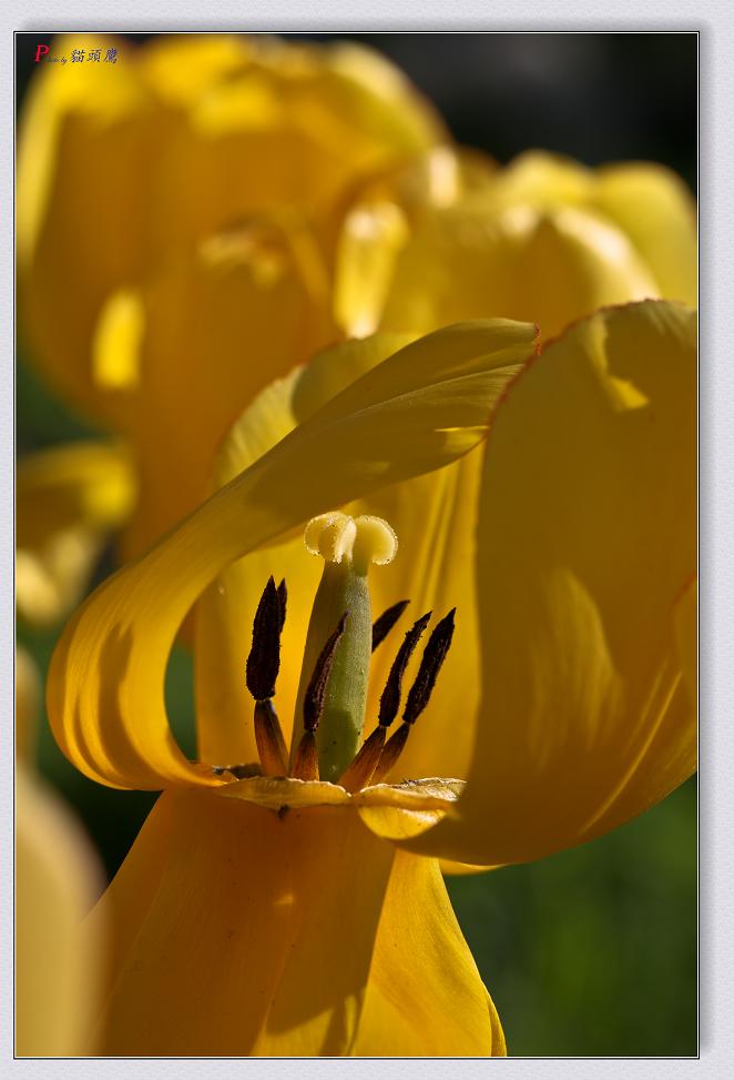 �}�u -43-013.jpg