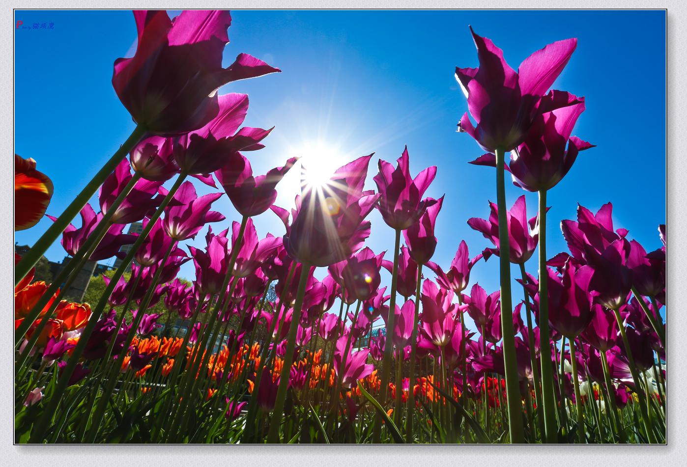 �}�u -41-080-1.jpg