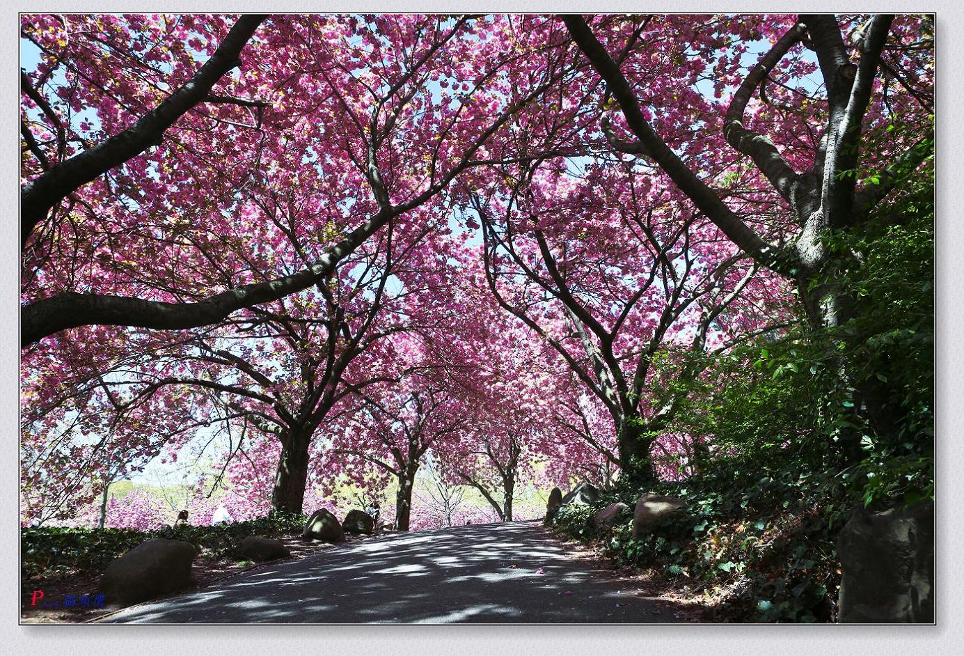 �}�u -36-045-1.jpg