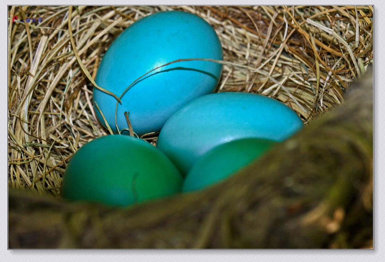 �}�u -�}�u -73-011.jpg