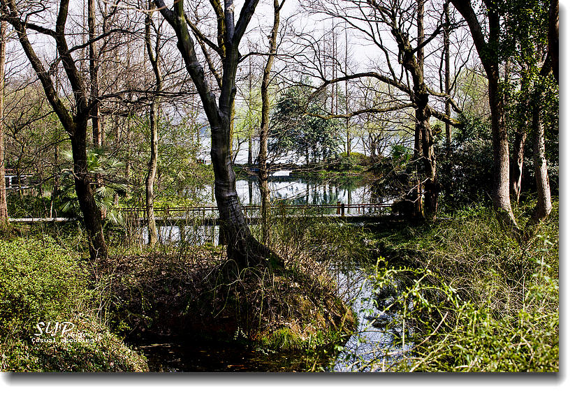 DSC00611a.jpg