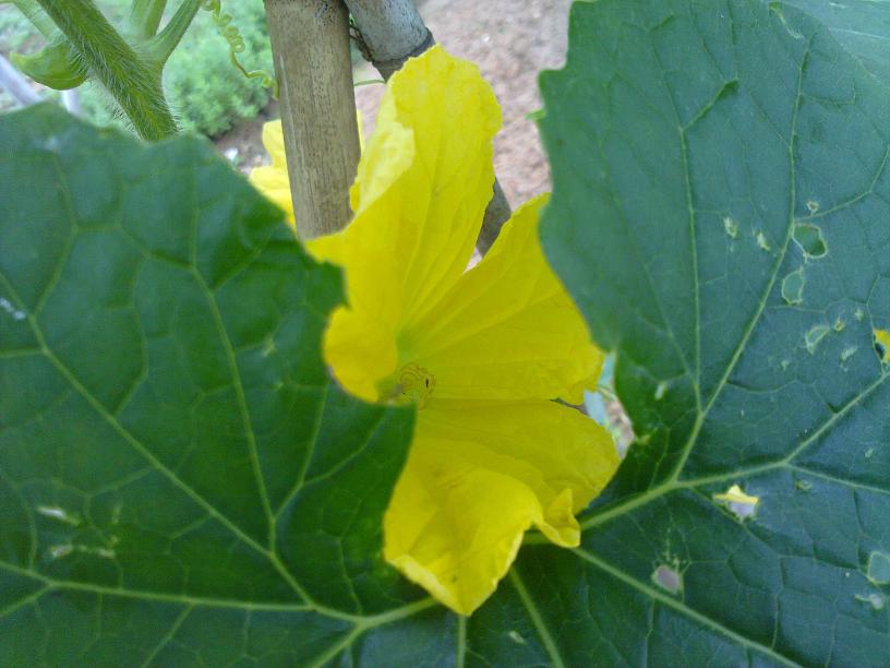 20130428015.jpg