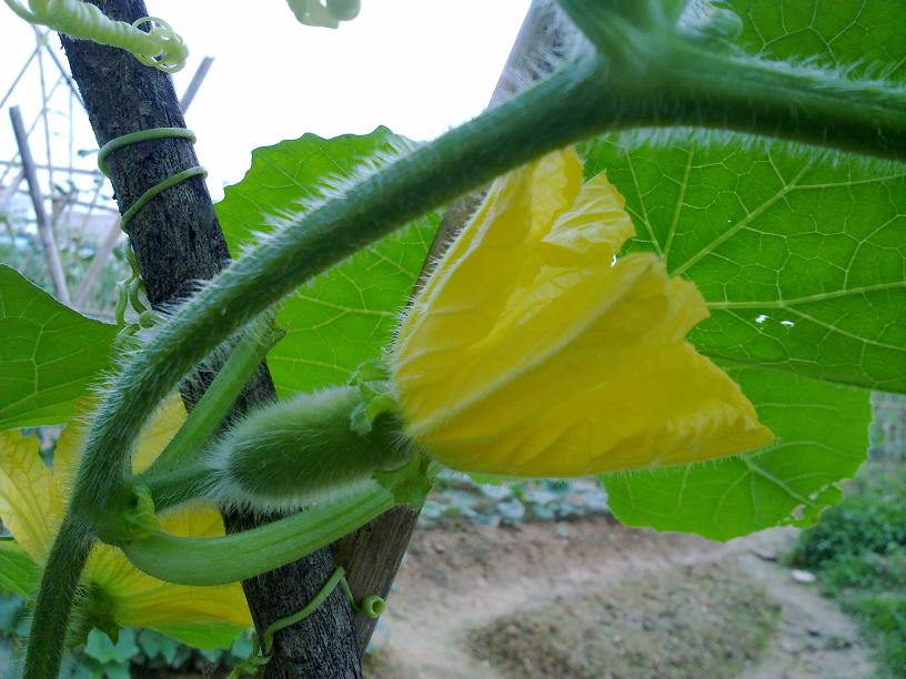 20130428012.jpg