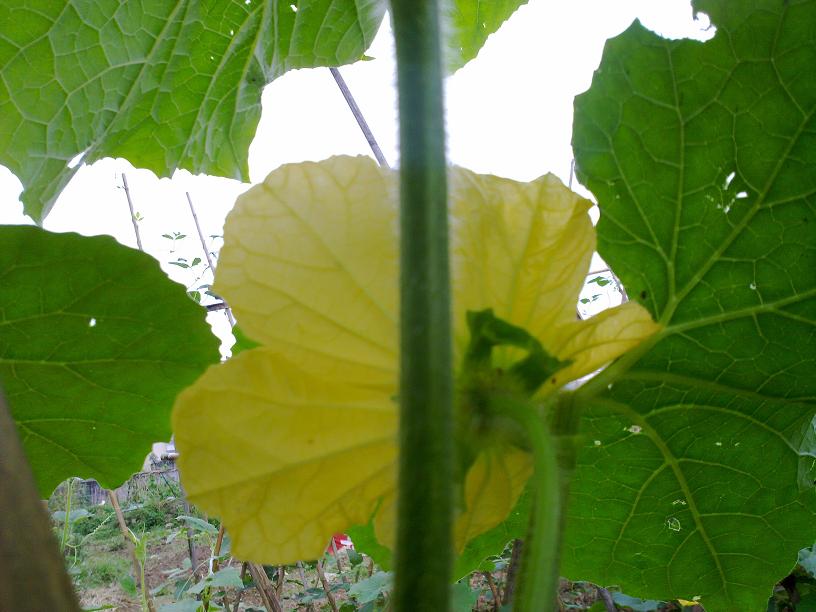 20130428018.jpg