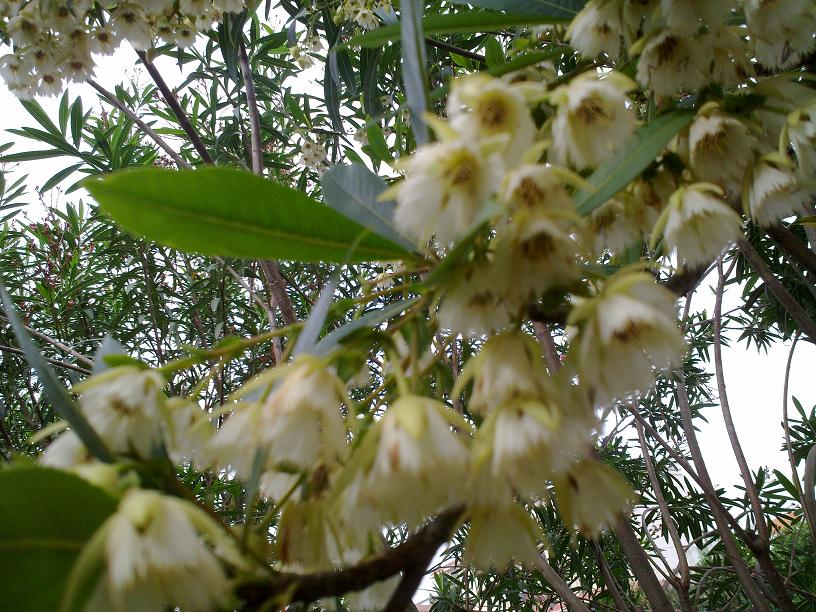 20130507027.jpg