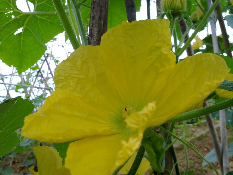 20130428020.jpg