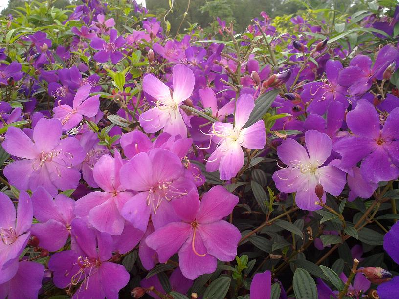 20130507046.jpg