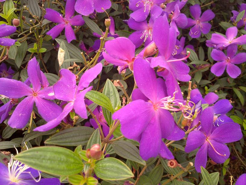 20130507044.jpg