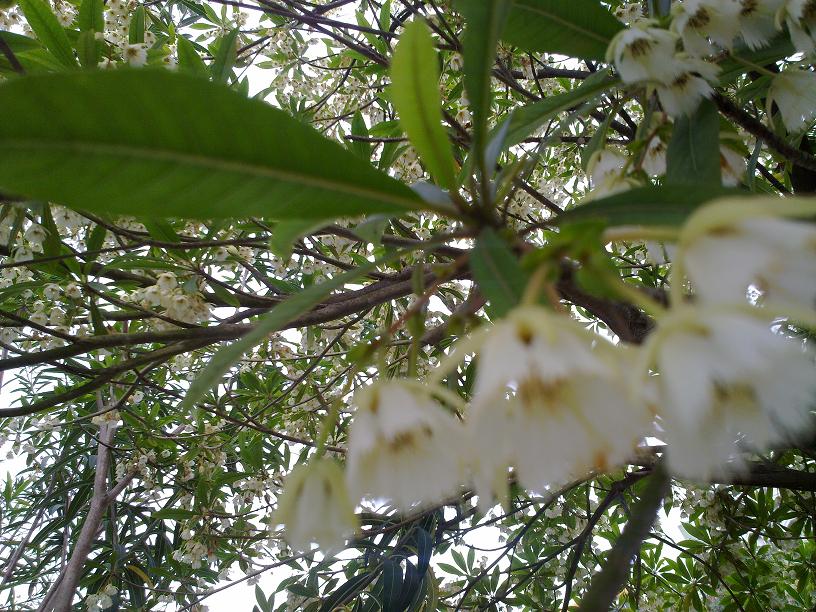 20130507025.jpg