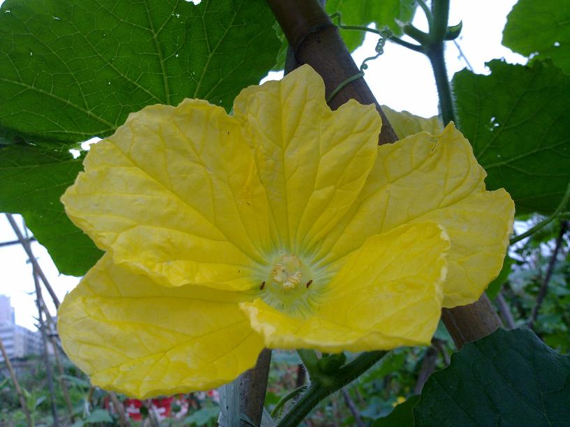 20130428017.jpg