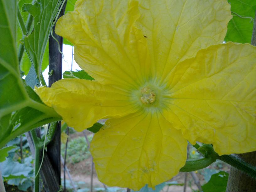 20130428022.jpg