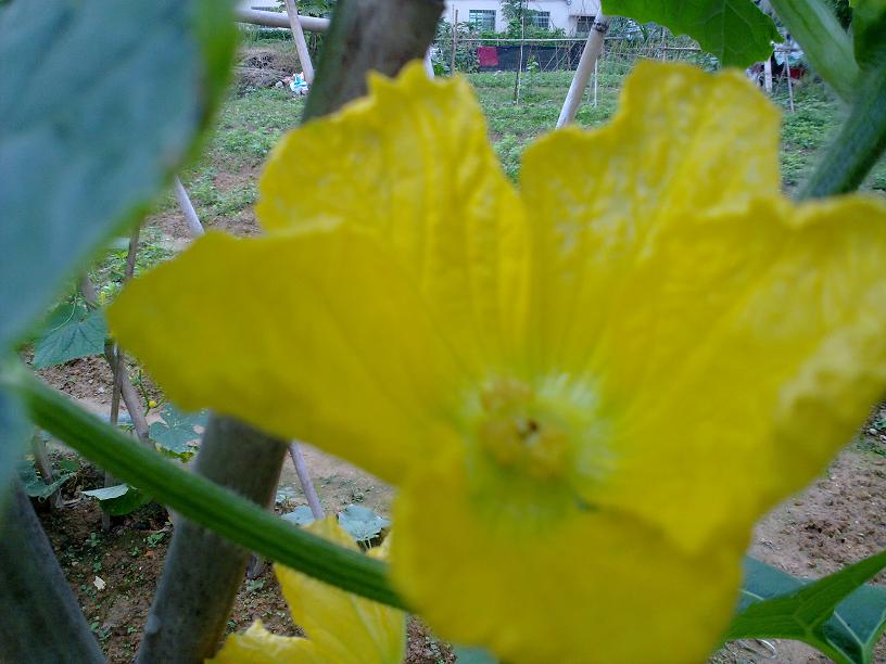 20130428021.jpg