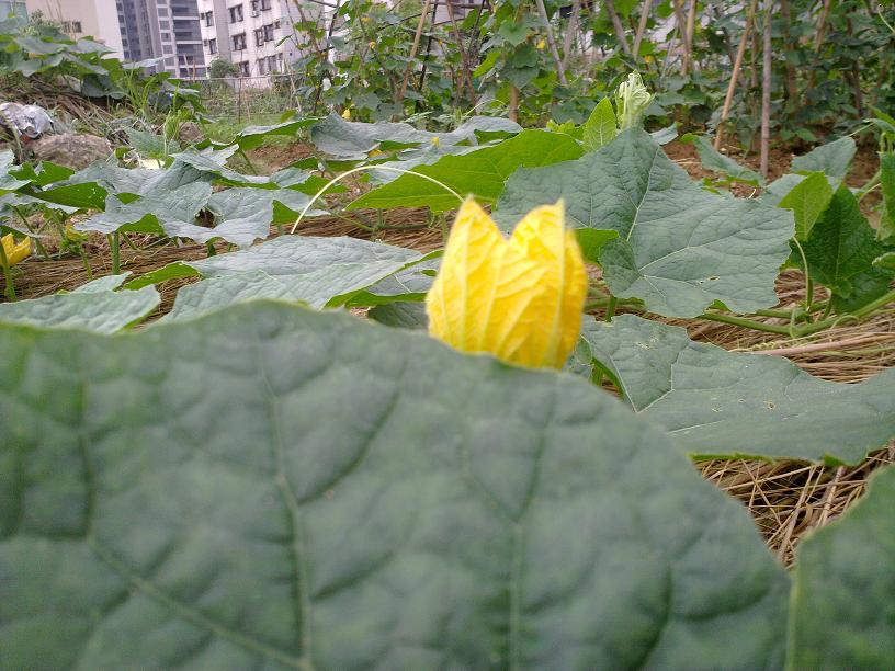 20130428004.jpg