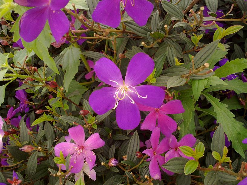 20130507045.jpg