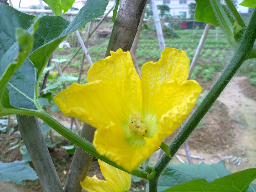 20130428014.jpg