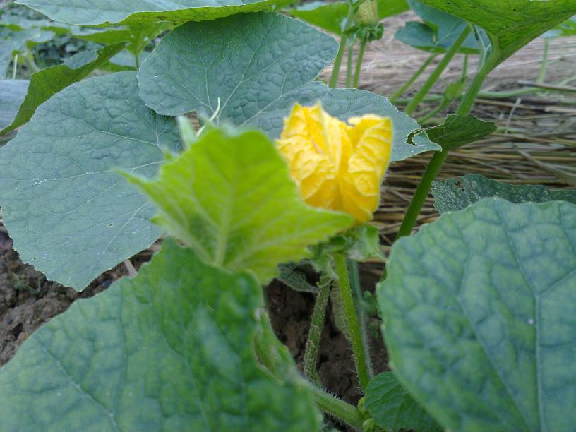 20130428006.jpg