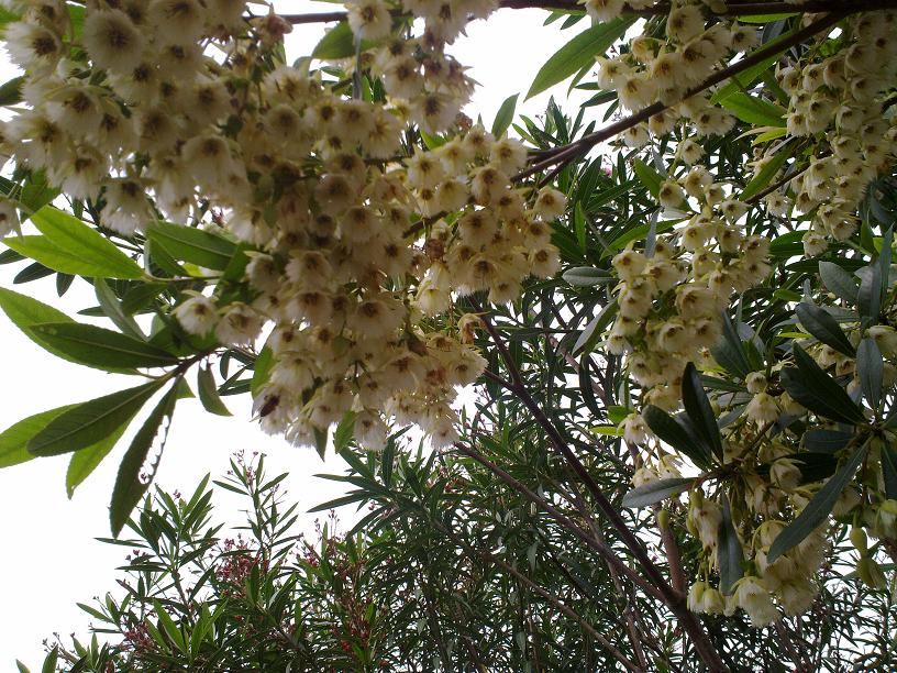20130507026.jpg
