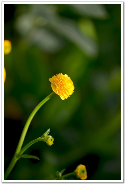 nEO_IMG_DSC_4166.jpg