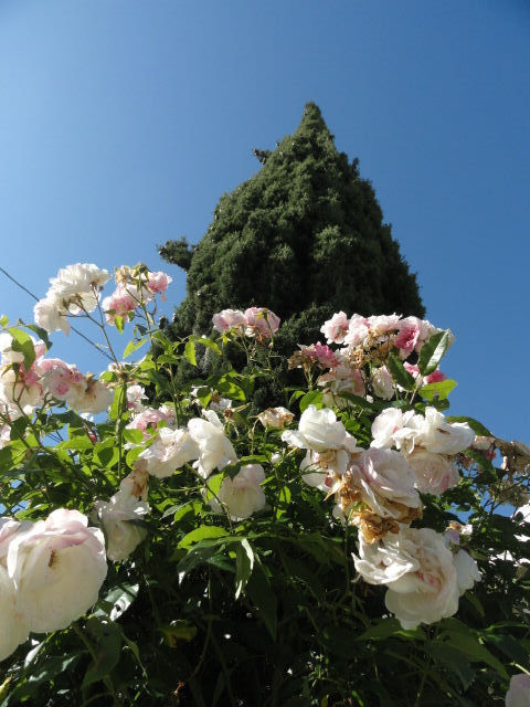 DSC03380.JPG