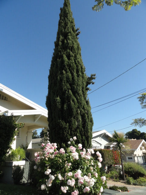 DSC03381.JPG
