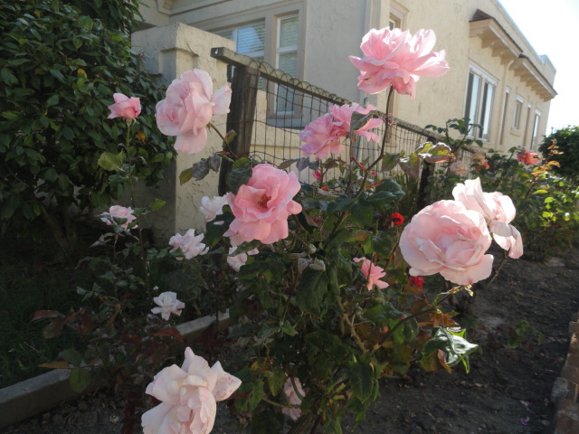 DSC03375.JPG