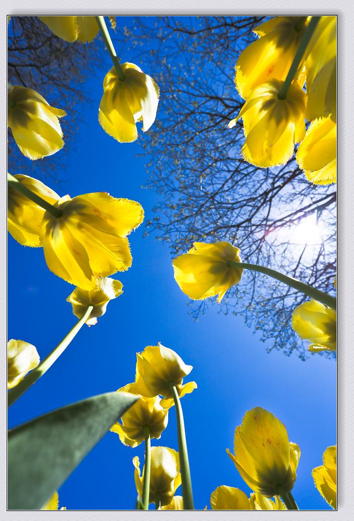 �}�u -�}�u -37-141.jpg