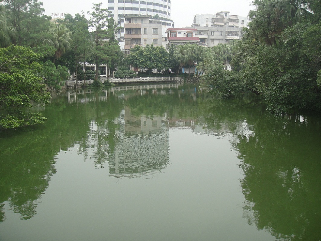 DSC07447.JPG