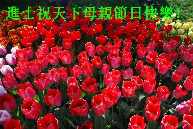 210_44292_ef535472f15ac9f[1]_副本1.jpg
