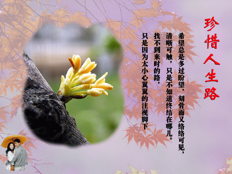 2.gif