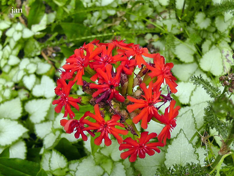 H2390039=.jpg