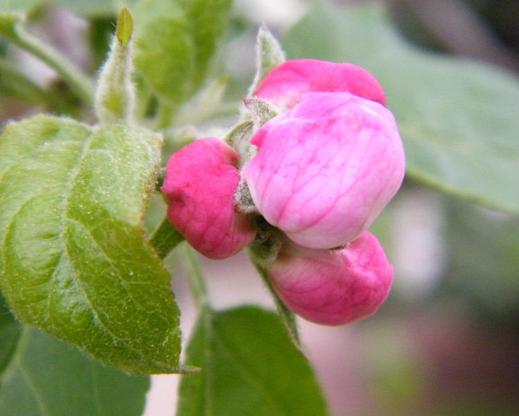 DSCF4176.JPG