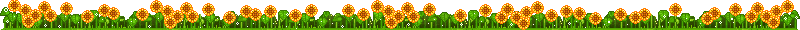 2534119215326371562.gif