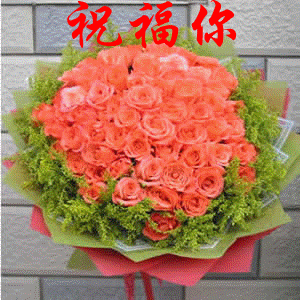 97_31834_df22909f9aff529.gif