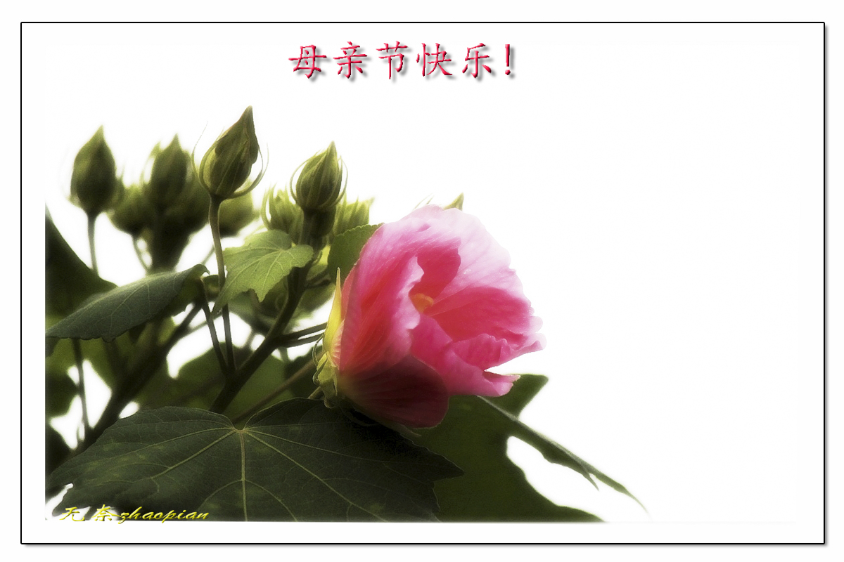 IMG_1953A-A.jpg