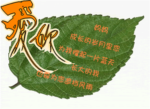 200951010260.gif