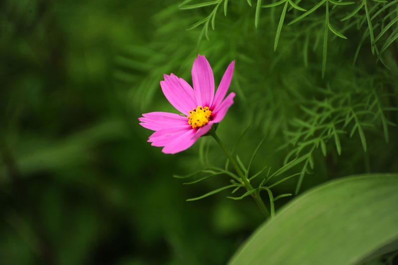 DSC_3926.jpg