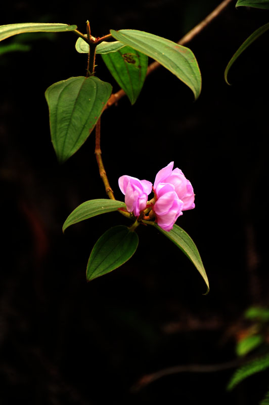 DSC_3837.jpg