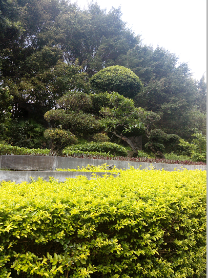 QQ截图20130527164650.png