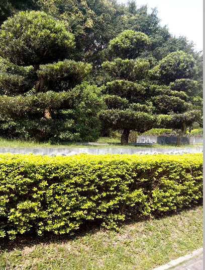 QQͼ20130515211323.png