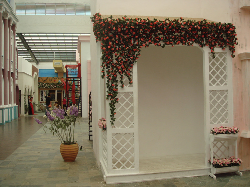 DSC01656_.jpg