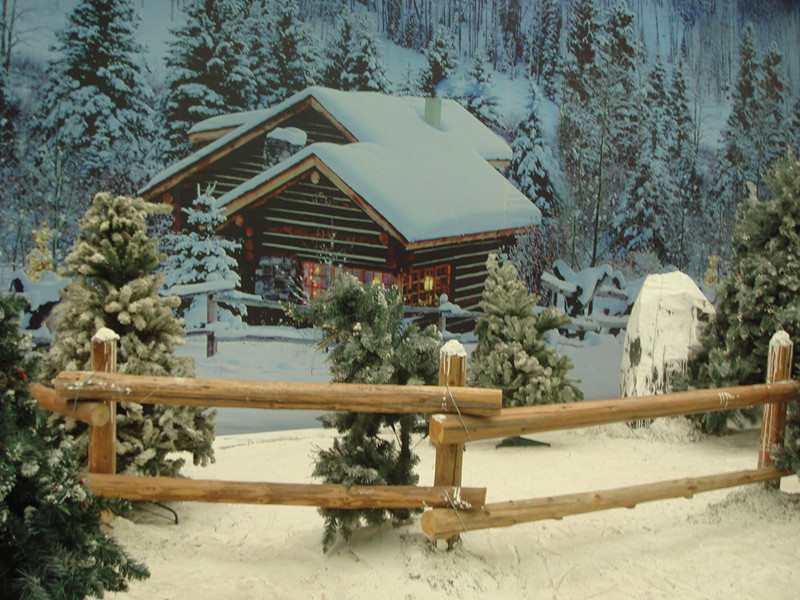 DSC01680_.jpg