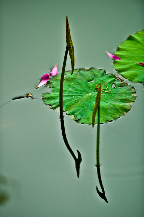 DSC_2930.jpg