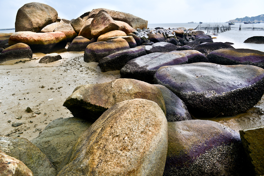DSC_1849.jpg