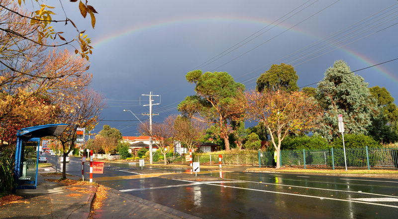 av.jpg