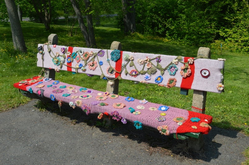 DSC_0027 (800x532).jpg
