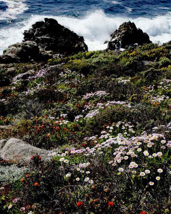 BEACH05192013_2007.JPG